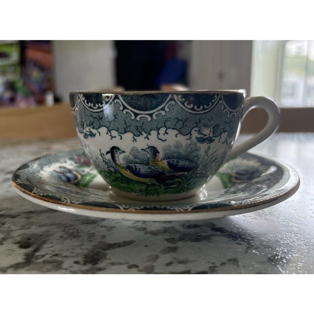 PV France Quimper Style Scenic Teacup Saucer Rare HTF Birds and Flowers SEE Pics